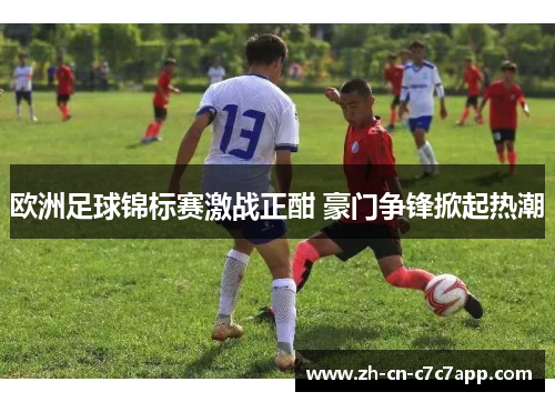欧洲足球锦标赛激战正酣 豪门争锋掀起热潮
