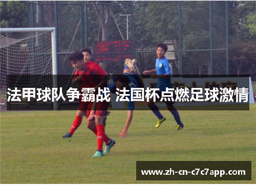 法甲球队争霸战 法国杯点燃足球激情